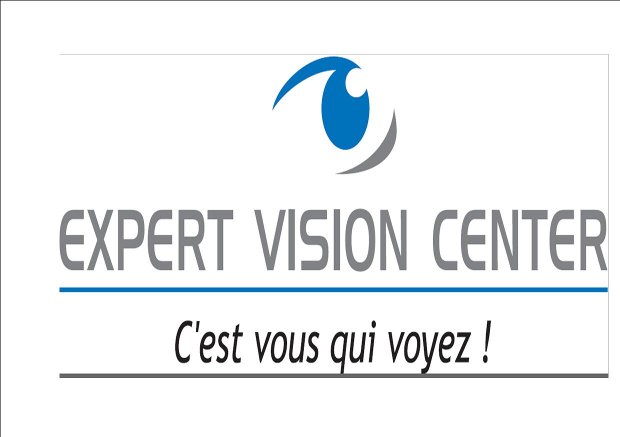 Expert Vision